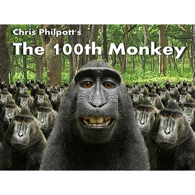 100th monkey by chris philpott